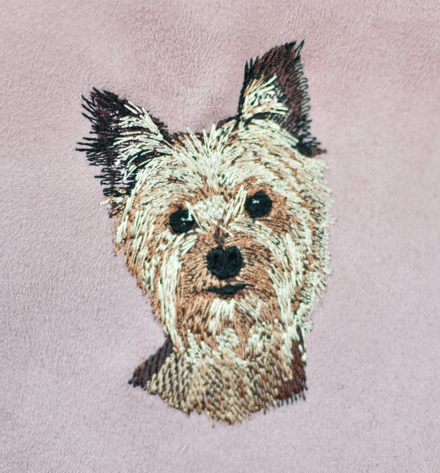 Nerka YORKSHIRE TERRIER